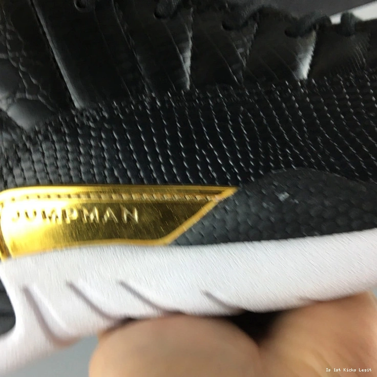 Air  Jordan  Wings AO6068-007 WMNS 12 0407